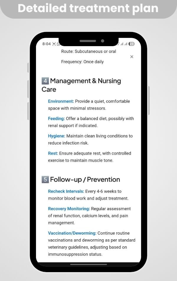 Detailed treatment plan