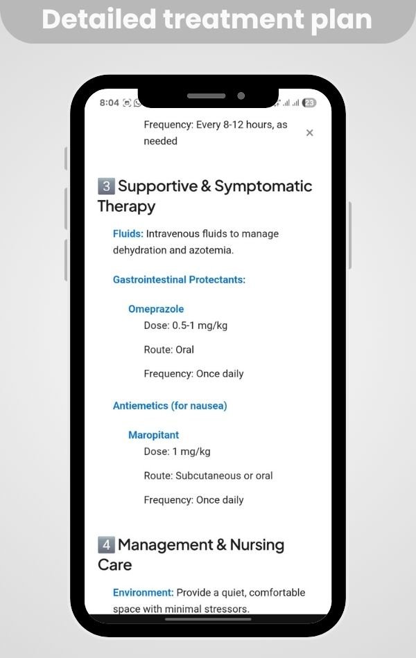 Detailed treatment plan3